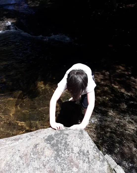 Bear Slide Picture 1