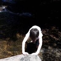 Bear Slide ico