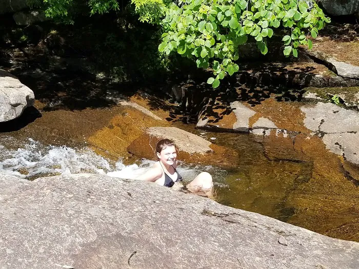 Bear Slide Picture 8