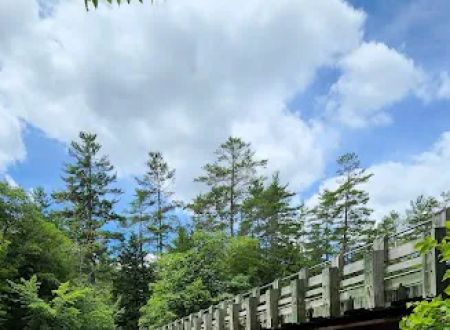 Sacandaga Campground