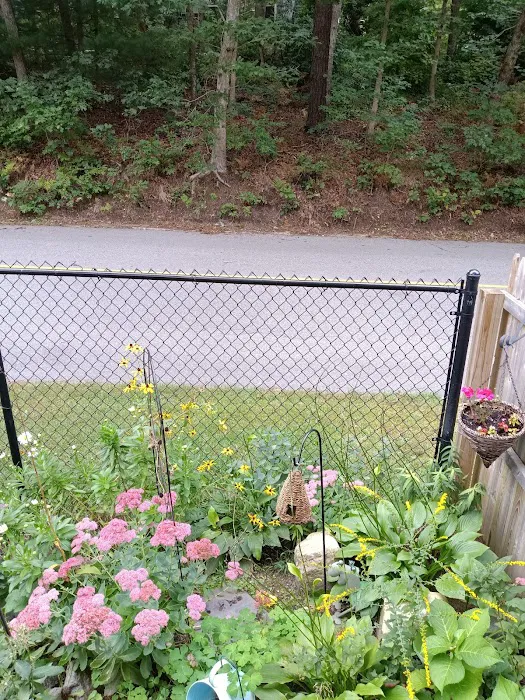 Johns Pond Village Picture 6
