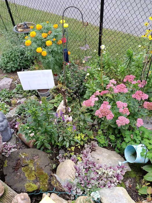 Johns Pond Village Picture 2
