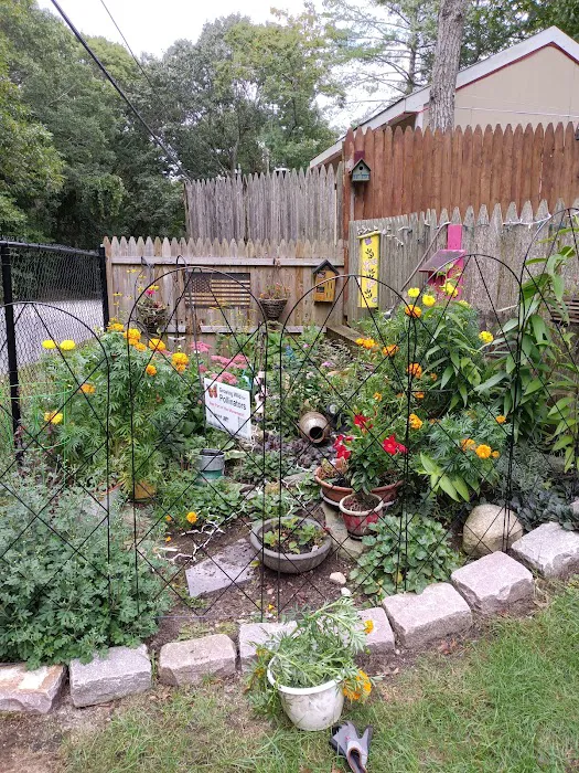 Johns Pond Village Picture 7