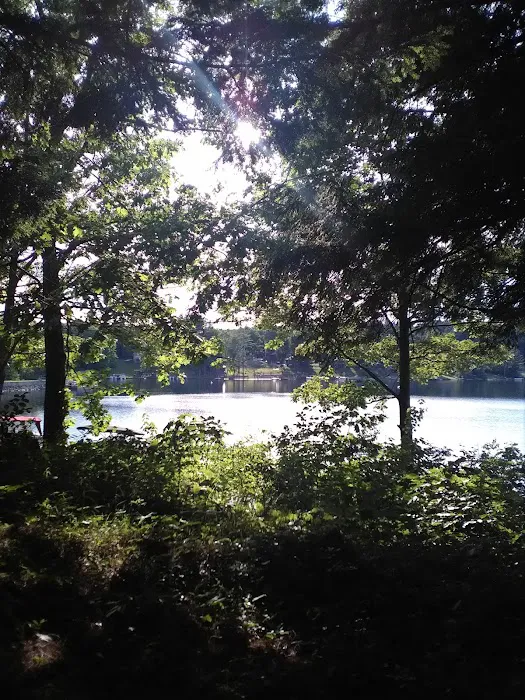 Lake Hadlock LLC Picture 10