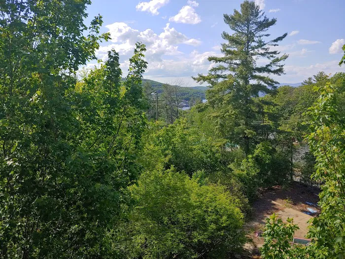 White Oaks RV Park Picture 10