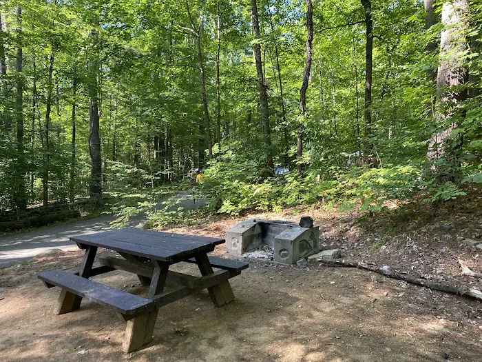 CAMP at Newfound Lake Picture 6
