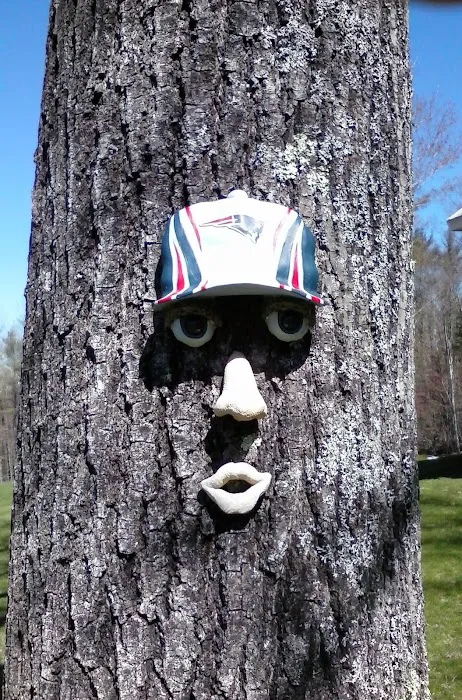 Scandia Park Picture 4