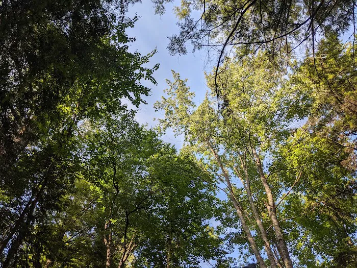 Moffitt Beach State Campground Picture 10