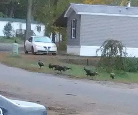 Interlakes Mobile Home Park