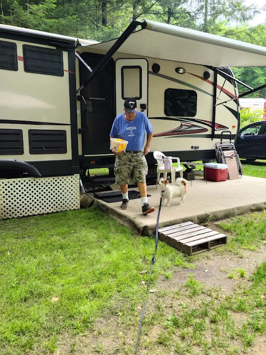 Surry Mountain Camp Ground Picture 5