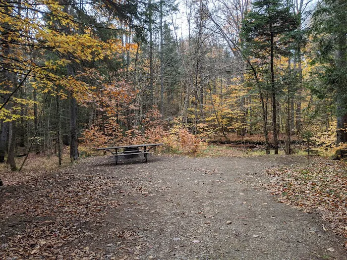 Greendale Campground Picture 4