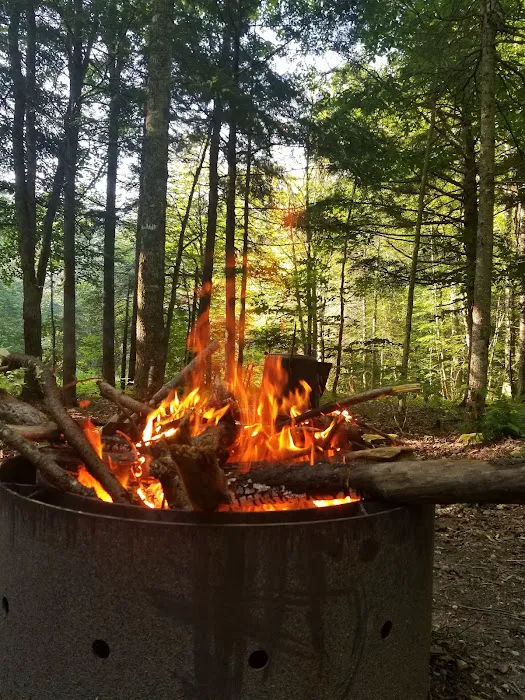 Greendale Campground Picture 6