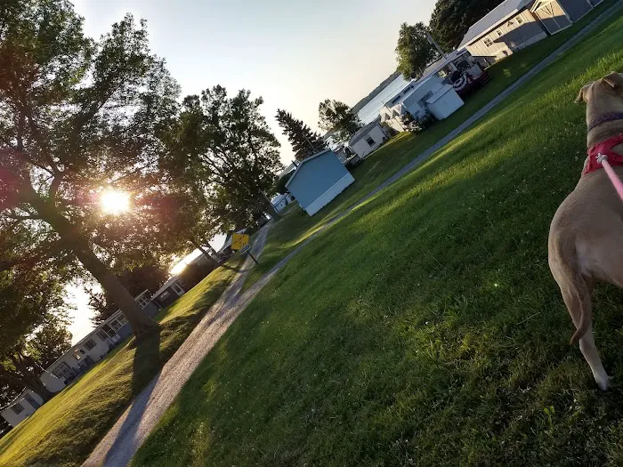 Maloney's Trailer Park Picture 6