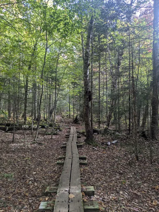 Little Rock Pond Shelter Picture 6