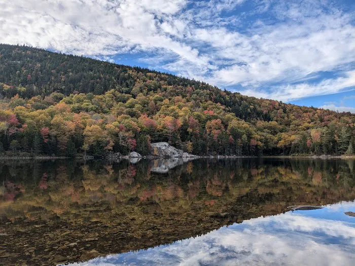 Little Rock Pond Shelter Picture 4