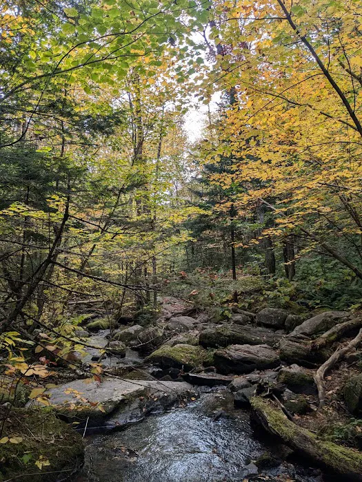 Little Rock Pond Shelter Picture 8