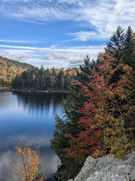 Little Rock Pond Shelter Picture 3