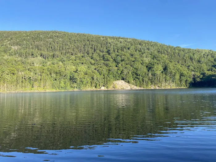 Little Rock Pond Shelter Picture 7