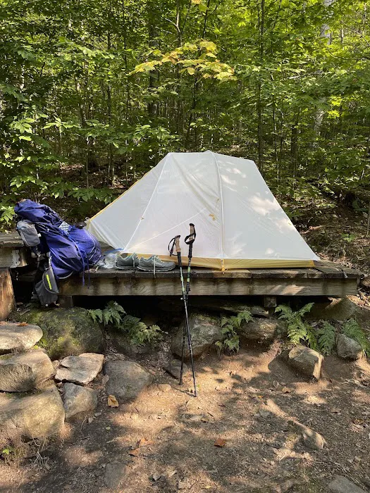 Little Rock Pond Shelter Picture 5