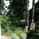 East Avenue - Forest Lawn MHC