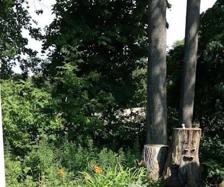East Avenue - Forest Lawn MHC