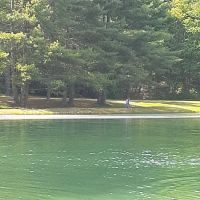 Circle 'C' Campground, Inc ico
