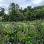 Wolf Den Campground