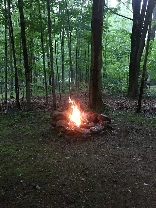 Chamberlain Lake Campground Picture 9