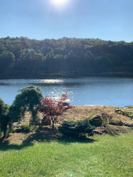 Wilderness Lake Campground & Resort Picture 7
