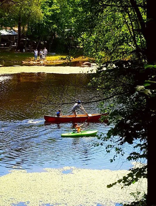 Wilderness Lake Campground & Resort Picture 6
