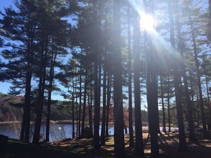 Wilderness Lake Campground & Resort Picture 9