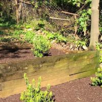 Elm Farm Park ico