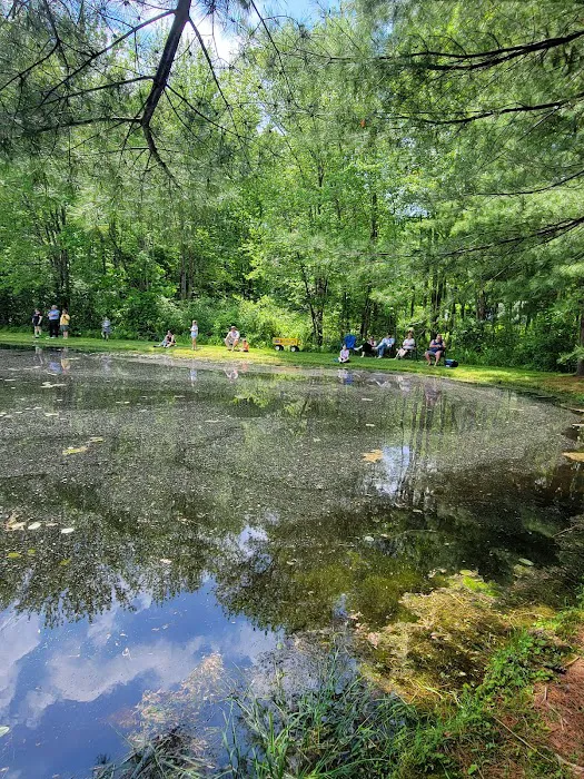 Mineral Springs Family Campground Picture 9