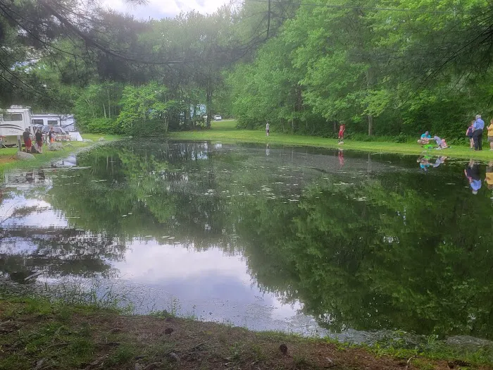 Mineral Springs Family Campground Picture 6
