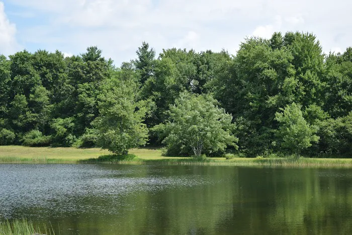 The Quarry Campground Picture 4