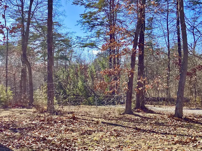 Silverville RV Park All Year Rental Picture 3