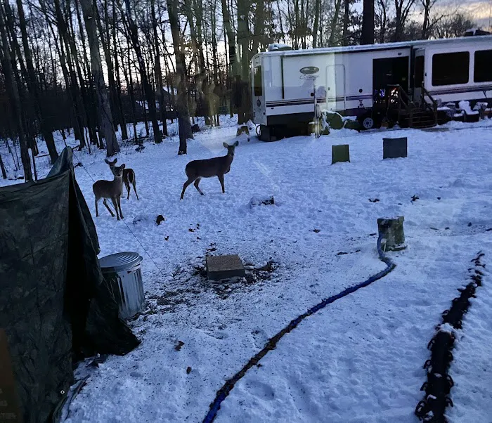 Silverville RV Park All Year Rental Picture 4