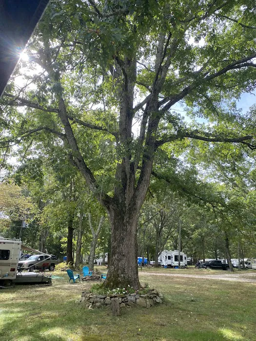 Frontier Camper Park LLC Picture 4