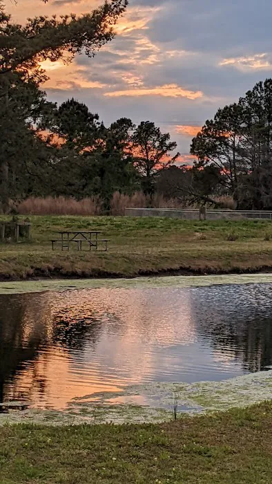 Jellystone Park™ Chincoteague Island Picture 5