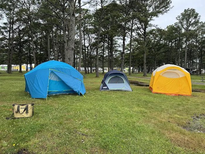 Jellystone Park™ Chincoteague Island Picture 10