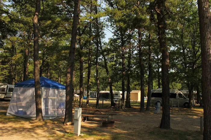Yankeeland RV Resort Picture 6