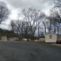Charter Oaks village cooperative ico