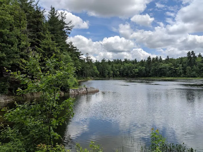 Gilson Pond Campground Picture 7