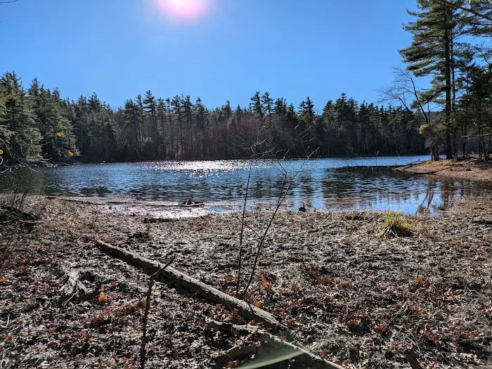 Gilson Pond Campground Picture 2