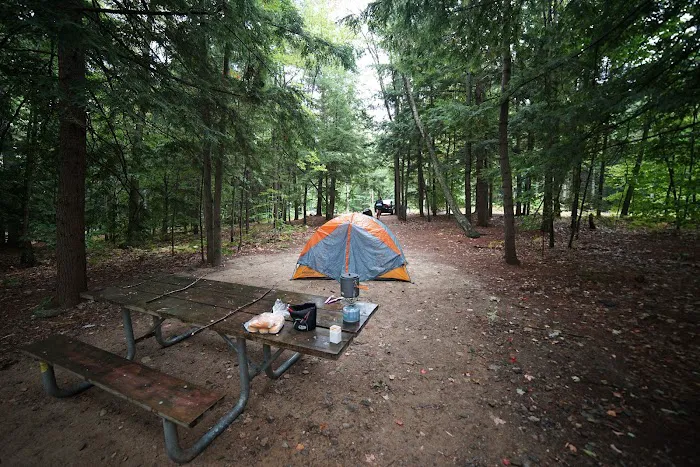 Gilson Pond Campground Picture 2