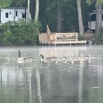 Lake Dean Campground LLC