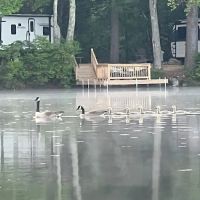 Lake Dean Campground LLC ico