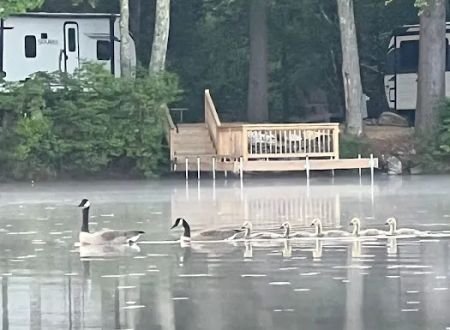 Lake Dean Campground LLC