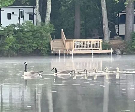 Lake Dean Campground LLC