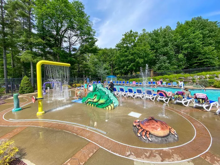 Pine Acres Family Camping Resort Picture 3